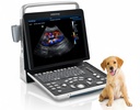 Ultrasonido Portátil Veterinario Mindray Z60