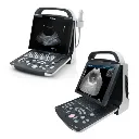 Ultrasonido-de-Uso-Veterinario-DP-10-Mindray.webp